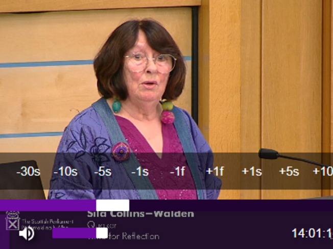 A woman stands before a microphone at the Scottish Parliament, delivering a speech